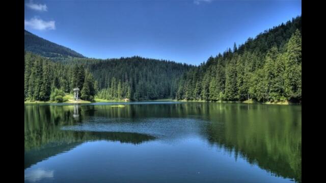 Александр Кварта  -  Сама модна