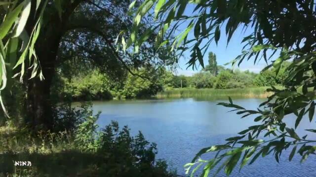 Ива Косы Развесила Длинные под Божественно Красивую Мелодию Сергея Чекалина!