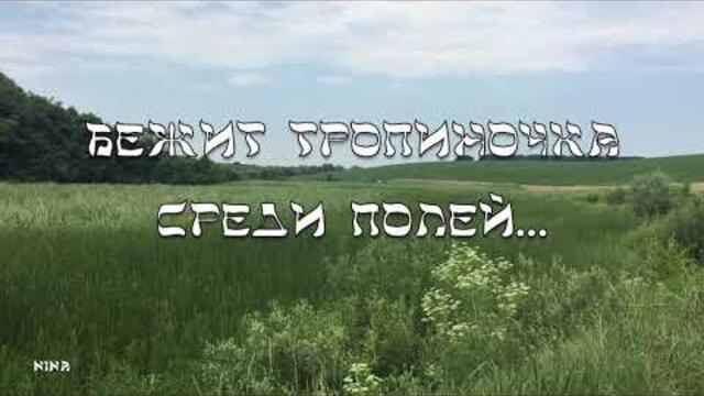 Бежит Тропиночка Среди Полей под Очаровательную Мелодию Эдгара Туниянца!