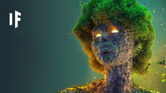 What If the Earth Was One Living Organism?