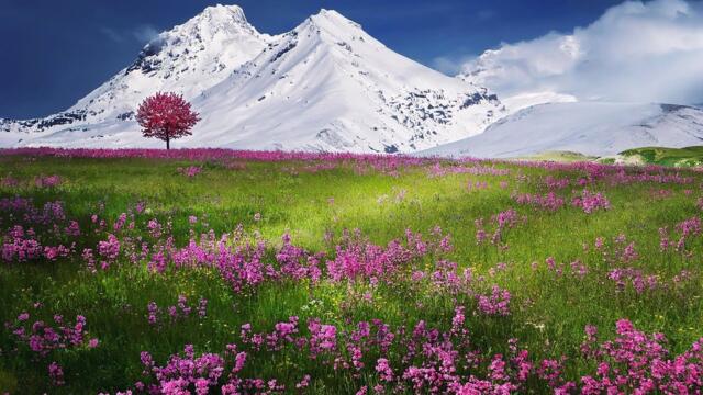 За далью даль.Невероятно красивая музыка,трогает до глубины! БОЖЕСТВЕННАЯ КРАСОТА  МУЗЫКИ