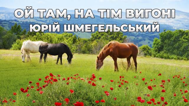 Юрій Шмегельський  -  Ой там, на тім вигоні