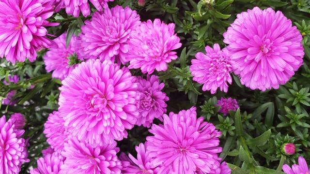 Самая красивая мелодия на свете! Эту музыку можно слушать вечно! красивая музыка Сергей Грищук