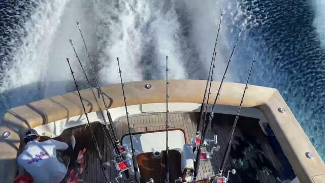 Marlin Expeditions - About Us