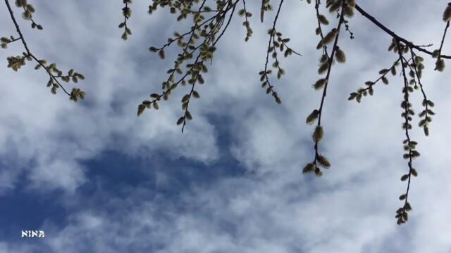 Пробуждение Природы под Прекрасную Мелодию Сергея  Аверьянова!