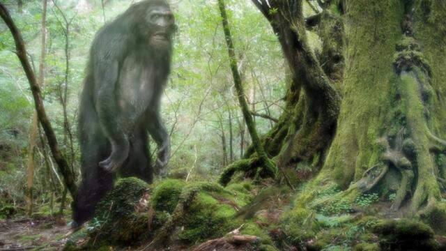On The Trail of Bigfoot Last Frontier