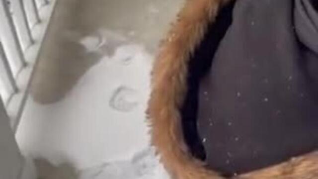 Parent Surprises Kids With New House For Christmas