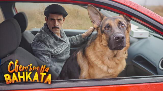 ДОМАШЕН ЛЮБИМЕЦ - Светът на Ванката