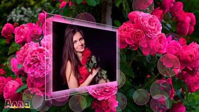 АМИРИНА   -   ЭТА РОЗА АЛАЯ, РАСЦВЕТАЛА РАЙСКАЯ ! РОЗА АЛАЯ !