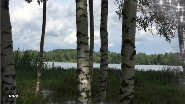 Ласковый Вечер под Романтическую Мелодию Эдгара Туниянца!