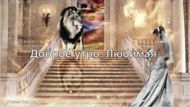 С этой песней я встречаю утро. Доброе утро, Любимые !❤️😊❤️