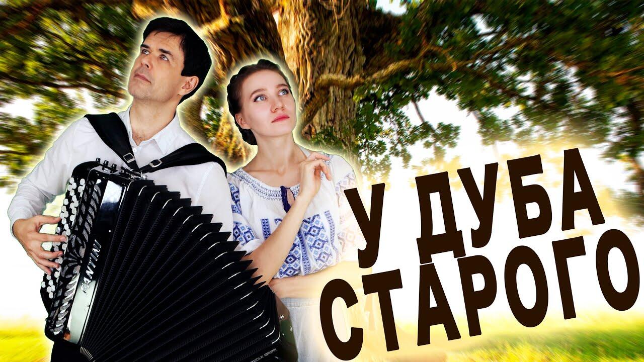 У дуба старого трава нескошена. Песня у дуба старого. У дуба старого трава не скошена. Песни под гармонь у дуба старого. Текст песни у дуба старого.