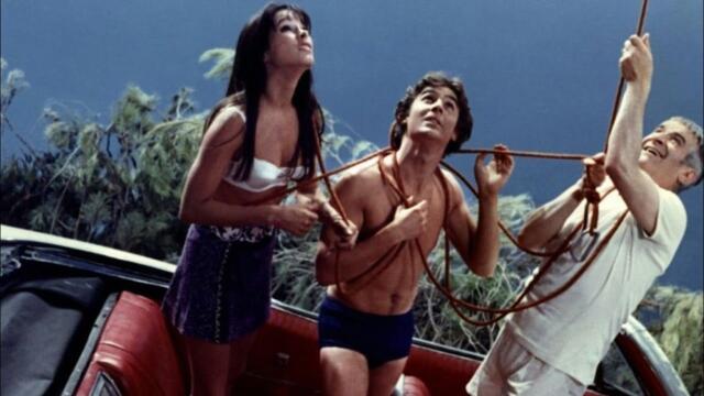 Кацнал на едно дърво Бг аудио Bg audio