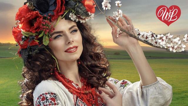 Владимир Черняков   -    КАЗАЧЬЯ