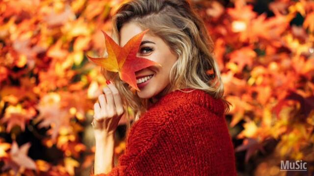 Павло Доскоч   -   А ти смієшся/ Український шансон