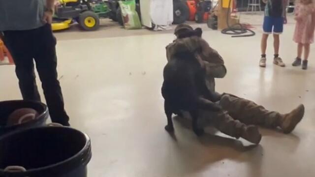 Dog Runs Around Excitedly When he Reunites With Military Owner After Months