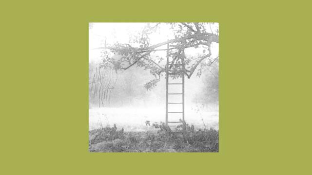 Moyosh - Artic [Full Album]