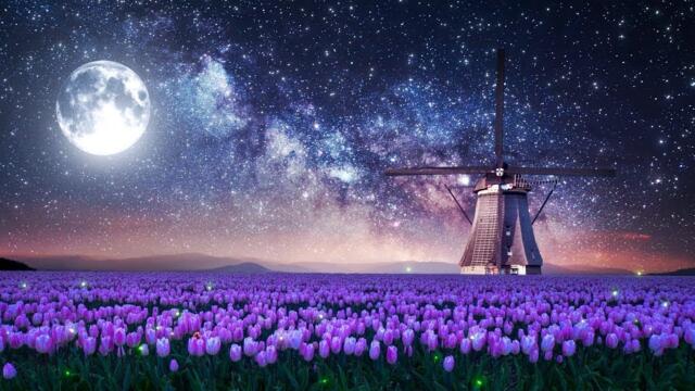 Музыка расслабляет нервную систему, улучшает память   Сергей Грищук музыка