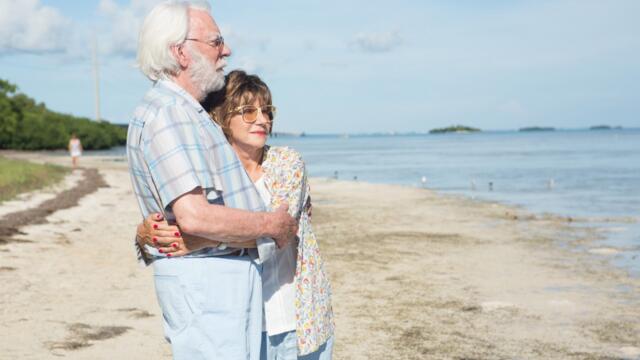 Търсач на удоволствия (синхронен екип, дублаж по Кино Нова на 27.01.2023 г.) (запис)