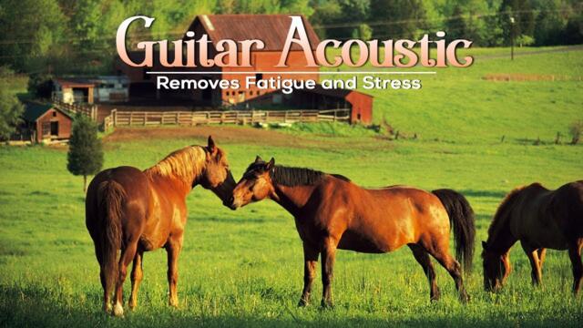 The Best Soft Relaxing Music Removes Fatigue and Stress - ACOUSTIC GUITAR MUSIC
