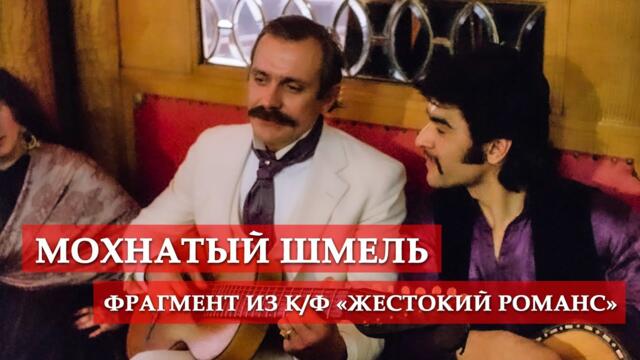 Мохнатый шмель (фрагмент из кинофильма "Жестокий романс")