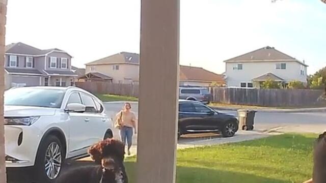 Dog Drags Chair All Over Neighborhood While Attempting to Escape