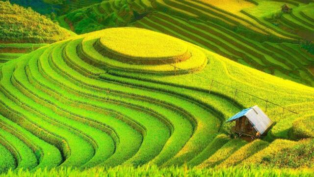 Божественная музыка трогает сердце! Хочу слушать вечно! Отличная музыка Сергей Грищук