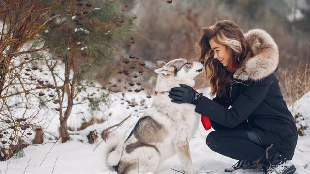 Песни Сергея Чекалина, которые стоит послушать зимой ❄️ Музыка навевает яркие воспоминания