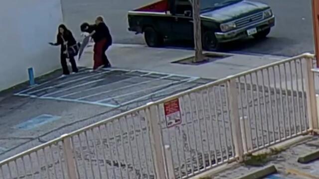 Suspect violently assaults puppy owner before running off with dog