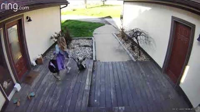 chicken attacks little girl but little girl hits chicken with backpack