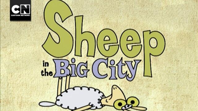 Sheep in the Big City | Theme Song | Cartoon Network