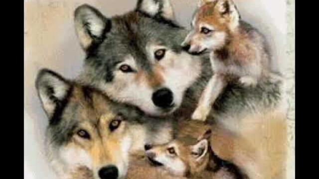 Олег Кошевой - Серый