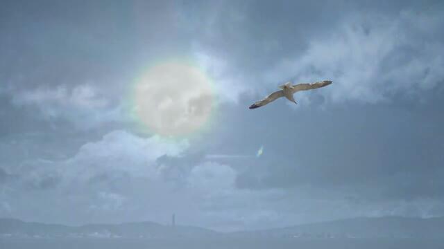 Стелла Джанни  - "Небо"