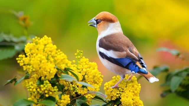 Послушайте эту мелодию, вам станет легче🎧Лучшая музыка в мире для вас! Сергей Грищук