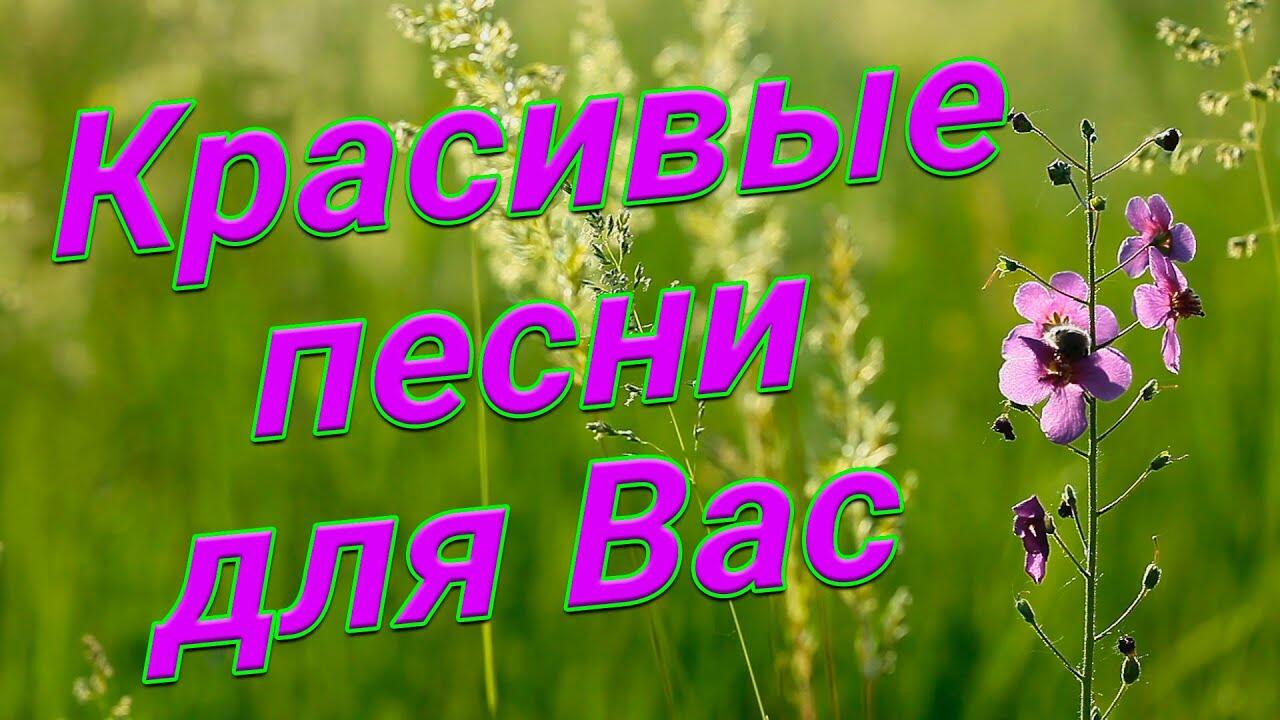 Добрые песни и фото Улитка Лидка слушать онлайн на Яндекс Музыке