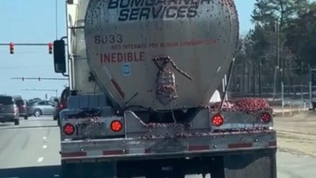 Person Watches Truck Leaking Contaminated Pork on Highway