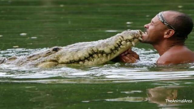 The Man Who Swims With Crocodiles - Nat Geo Wild Documentary