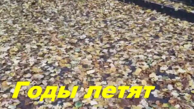 Анатолий Кулагин   -    ГОДЫ ЛЕТЯТ