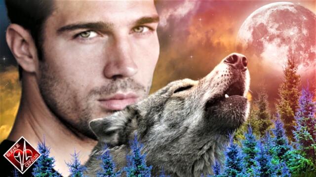 Амирина - Одинокий волк