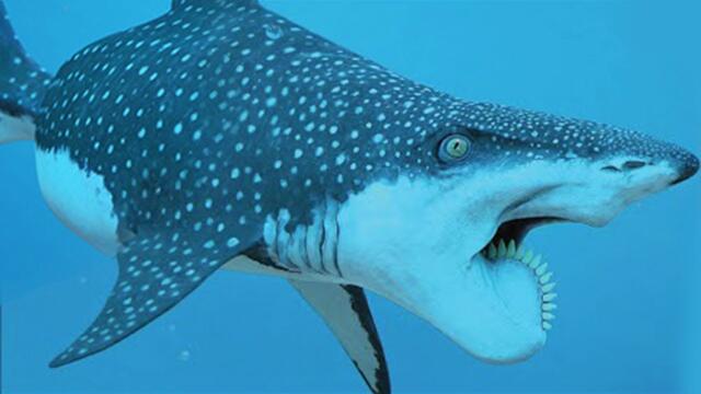 15 Most Rare Shark Species Hidden in The Ocean