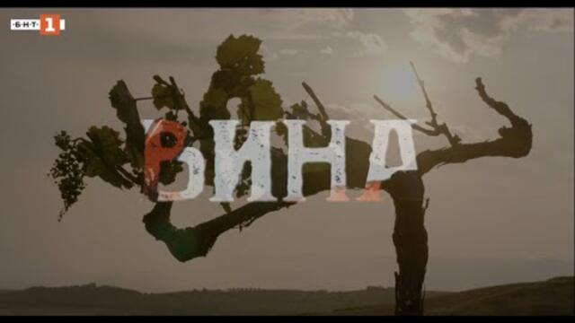 Вина, епизод 6, сезон 1, сериал на БНТ
