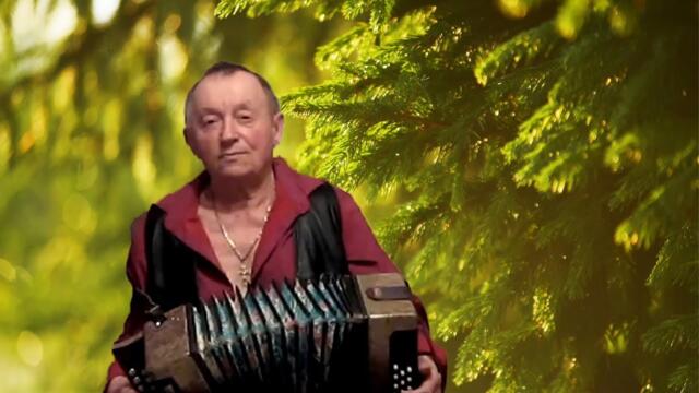 Сергея Черникова    -    СТАРЫЕ СОСНЫ, БЕРЁЗКИ ДА ЕЛИ