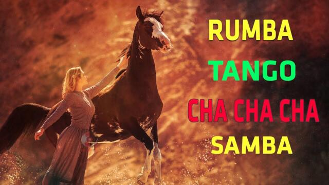 RUMBA / CHA CHA / TANGO / MAMBO 2023 / Non Stop Latin Instrumental Music Ever - Amazing Cafe Music