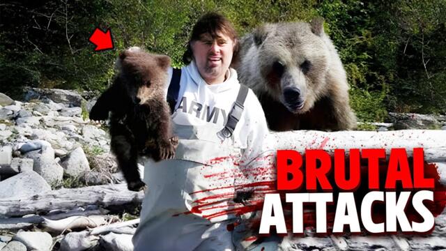 The Most BRUTAL Bear Attacks MARATHON!