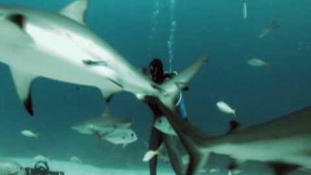 Sharkman - Hand Feeding