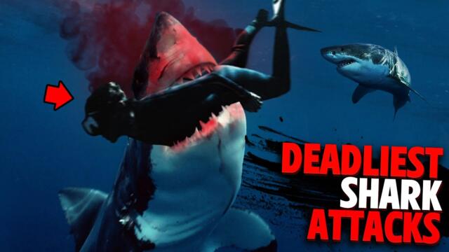 Deadliest Shark Attacks of 2022 MARATHON!