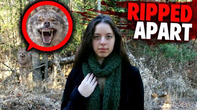 This Pack of Coyotes RIPPED Taylor Mitchell into Pieces! (Animals Gone WRONG)