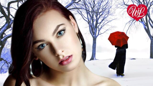 ТУ-134   -    МЕТЕЛИЦА