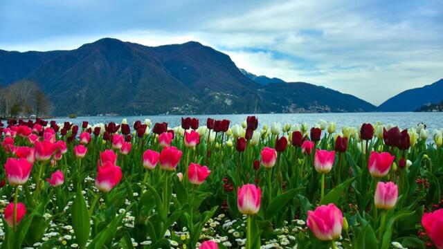 Безумно красивая музыка! Мощная музыка прекрасна для души! Это красивая мелодия! Расслабляться