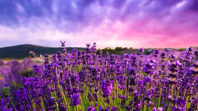 Солнечное Утро, Нежная красивая Музыка можно слушать бесконечно! Сергей Грищук!